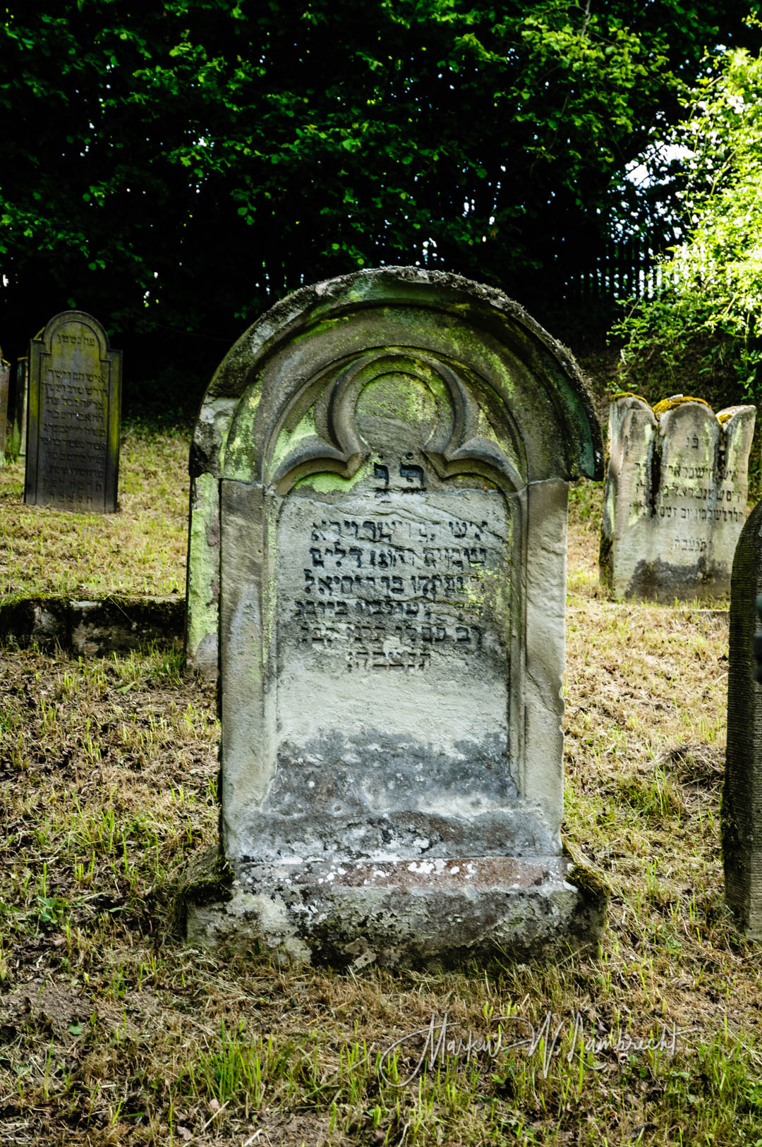 Jüdischer Friedhof Sielen
